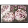 Artgeist Plakatas - Rožinė Peonies