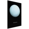 Artgeist Plakatas - Uranus