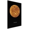 Artgeist Plakatas - Venus