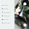 Artgeist Tapetas - Fragrant flowers and herbs - plum