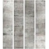 Artgeist Tapetas - Gray pigeon