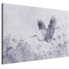 Artgeist XXL paveikslas - Majestic flight - a crane in flight in monochrome