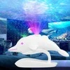 Galaktikų ir žvaigždžių projektorius Delfinas