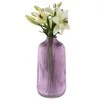 Glass vase h-21cm, violetinė (color box)