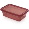 Orplast Basestore container with lid and clips, 19x28x9 cm 3 L rhubarb