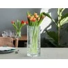 Edwantex Glass vase square 10x10 cm h 30 cm