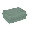Luca click box midi 17x13x7 cm 1 L žalias