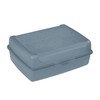Luca click box midi 17x13x7 cm 1 L mėlynas