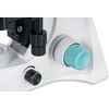 Mikroskopas Levenhuk 900B Binocular Microscope