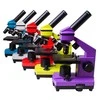 Mikroskopas Levenhuk Rainbow 2L PLUS Amethyst 64x - 640x su eksperimento komplektu K50