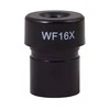Mikroskopas Levenhuk Rainbow 2L PLUS Lime 64x - 640x su eksperimento komplektu K50