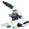 Mikroskopas Microscope Levenhuk 400B Binocular