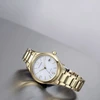 Laikrodis Damski Citizen FE6122-64A