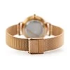 Laikrodis moterims Daniel Wellington DW00100161 - Petite Melrose (zx704a)