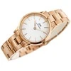 Laikrodis moterims Daniel Wellington DW00100211 - Iconic Link (zx706a)