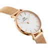 Laikrodis moterims Daniel Wellington DW00100219 - Petite Melrose (zx705a)