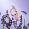 Moteriškas laikrodis DANIEL WELLINGTON Quadro Lavender Mop 20mm DW00100637 + BOX (zw521b)