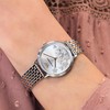 MOTERIŠKAS LAIKRODIS EMPORIO ARMANI AR11113 – (zi513a)