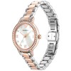 Moteriškas laikrodis EMPORIO ARMANI CLEO AR11499 (zi546a)