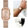 Laikrodis WOMEN'S WATCH EMPORIO ARMANI GIOIA AR11347 + BOX