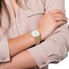 Laikrodis WOMEN'S WATCH Michael Kors Darci MK3219 + BOX