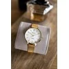 Laikrodis PERFECT F353-03 WOMEN'S WATCH (zp511a) + BOX