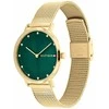 Laikrodis TOMMY HILFIGER WOMEN'S WATCH 1782668 PIPPA + BOX