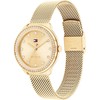 TOMMY HILFIGER 1782699 Demi moteriškas laikrodis (zf609a) + DĖŽUTĖ