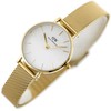 Laikrodis DANIEL WELLINGTON WOMEN'S WATCH DW00100346 - Petite Evergold 36mm