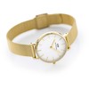 Laikrodis DANIEL WELLINGTON WOMEN'S WATCH DW00100346 - Petite Evergold 36mm