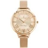 Laikrodis G. ROSSI WATCH - G.R10296B5-4D2 (zg871d) + BOX