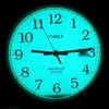 Vyriškas laikrodis TIMEX EASY READER TW2U84900 + BOX