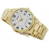 Laikrodis vyrams CASIO MTPV002G-7BUDF (zd103b) + dėžutė