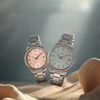 Moteriškas laikrodis CASIO LTP-1303DD-4AV (zd591g) + BOX