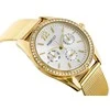 Laikrodis PERFECT F358 WOMEN'S WATCH (zp991b) + BOX