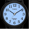 Moteriškas laikrodis TIMEX Essex T2M827 + BOX