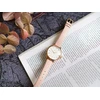 Moteriškas laikrodis TIMEX Peyton TW2V06700 + BOX