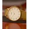 Moteriškas laikrodis TIMEX Transcend TW2Y10300