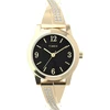 Moteriškas laikrodis TIMEX TW2Y39200 + BOX