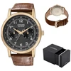 Vyriškas laikrodis Citizen AO9003-08E