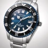 Vyriškas laikrodis Citizen NB6026-56L