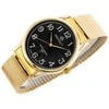 Laikrodis MEN'S WATCH PERFECT X421 (zp331d) - rubber band