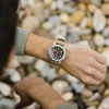 Vyriškas laikrodis Timex TW2V62400