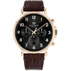 Vyriškas laikrodis TOMMY HILFIGER 1710379 DANIEL (zf030c)