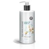 GMT BEAUTY DRĖKINAMOJI DUŠO ŽELĖ SU ŽALIĄJA ARBATA IR UREA 300ml.