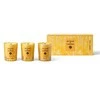 Acqua Di Parma Holiday Candle Trio kvepiančios žvakės, 3 x 70 g