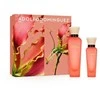 Adolfo Dominguez A D Agua Fresca Mango Palmarosa EDT Purškiklis, 120 ml, 60 ml Sets
