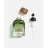 Adolfo Dominguez Vetiver Terra EDP parfumuotas vanduo vyrams, 200 ml