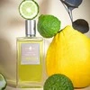 Affinessence Combava Cedrat EDP, 100 ml