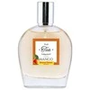 Alvarez Gómez Fruit Tea Collection Mango Eau De Toilette Purškiklis, 100 ml